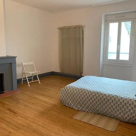 Elegant T3 Hypercentre De Apartmán Mazamet